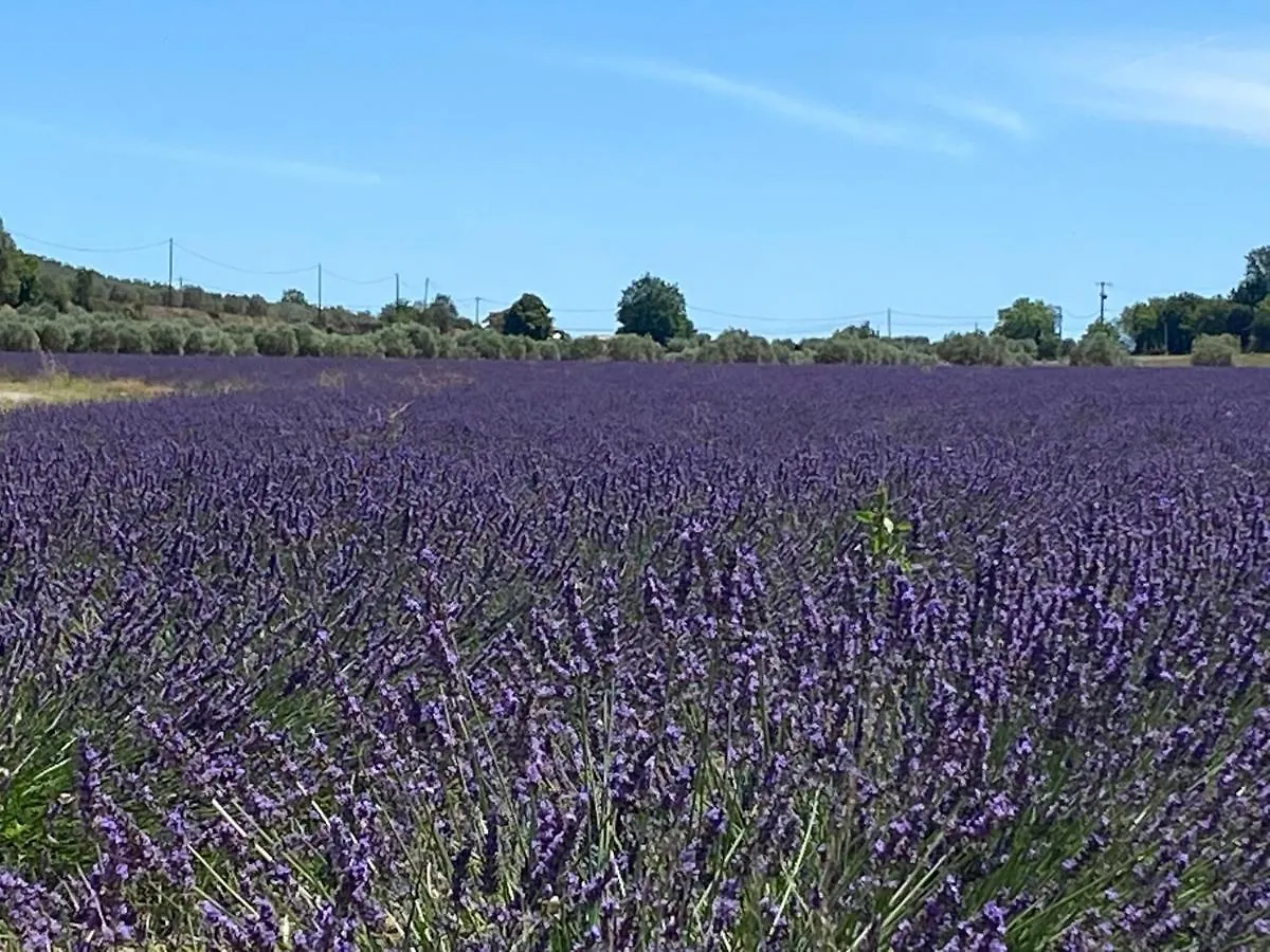 Holiday home Gite Cocotte Luberon, Forcalquier Pierrerue